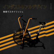 EnerGym STORM エアバイク