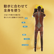 HEAD 核心肌群訓練板