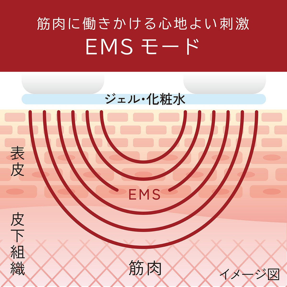<small>Enage</small><br>臉部EMS美容儀