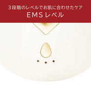 <small>Enage</small><br>臉部EMS美容儀
