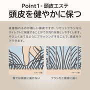 <small>PAUL＆JOE</small><br>美髮梳