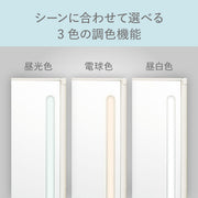 <small>PAUL＆JOE</small><br>LED三折鏡