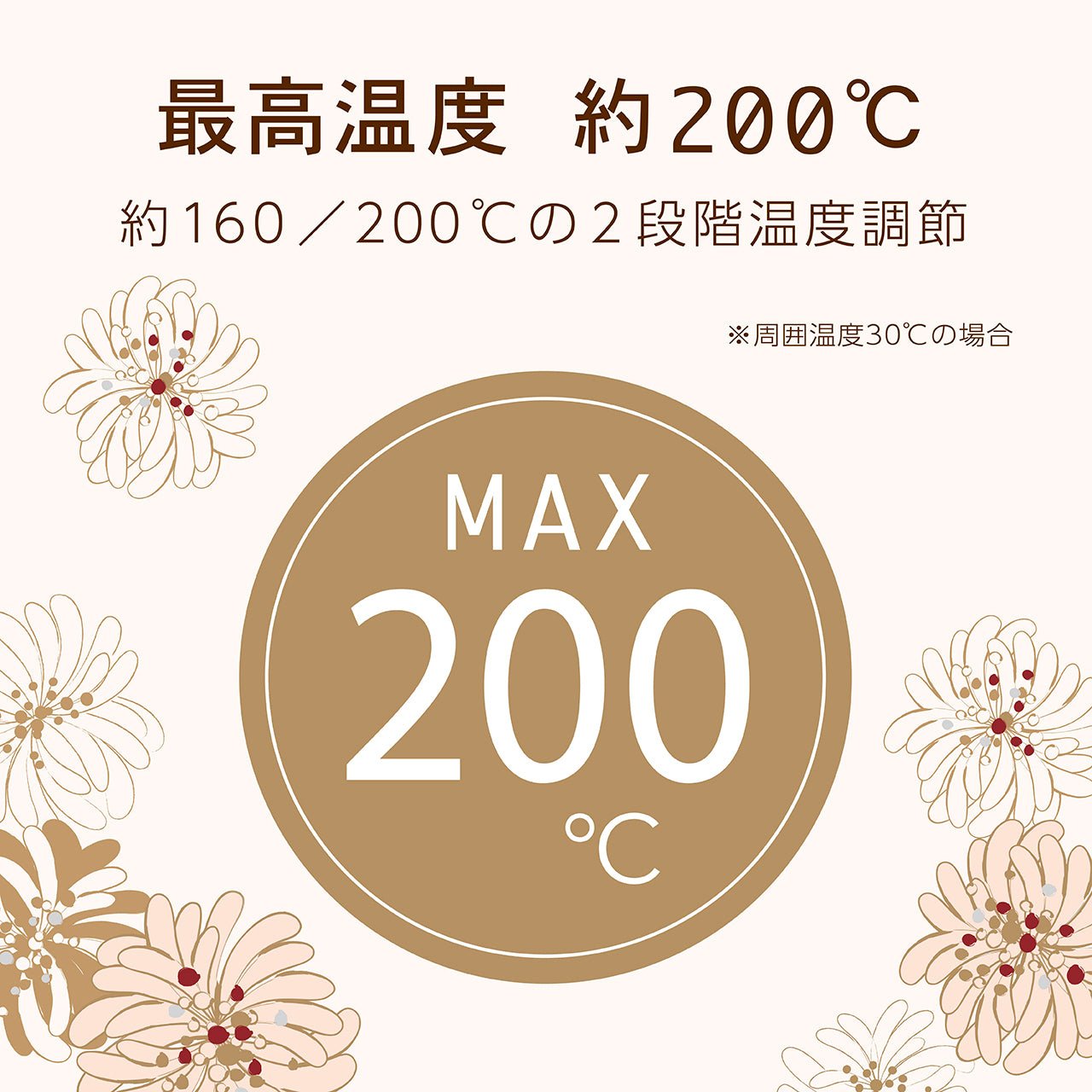 <small>PAUL＆JOE×沙宣</small><br>無線直髮夾