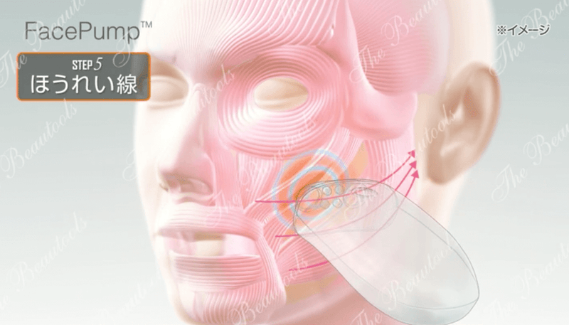 EMS複合美顔器 FacePumpシリーズ – アーリーバード オンライン